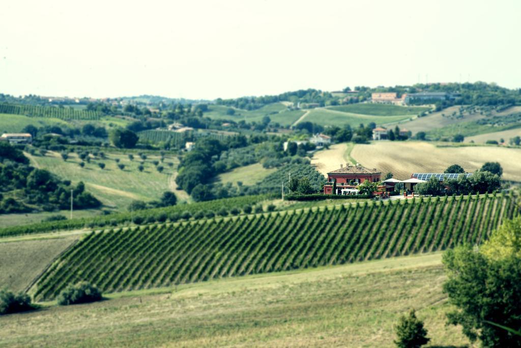 Tenuta Santini Villa Coriano Ngoại thất bức ảnh